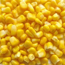Sweet Corn