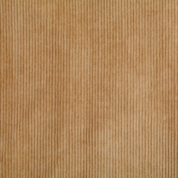 Corduroy