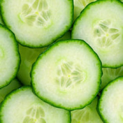 Cucumber