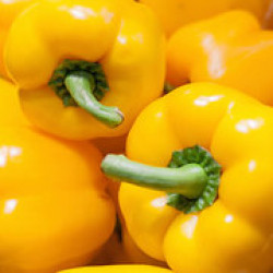 Yellow peppers