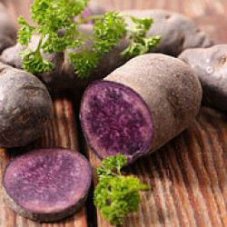 Purple potato