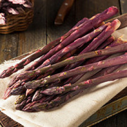 Purple asparagus