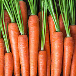 Carrots
