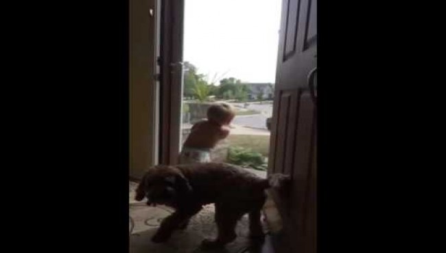 This Dog And Baby React The Same Exact Way To Daddy Coming Home